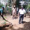 Tree planting program implemented in the office premises